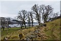 Path to Loch Rannoch Hotel in PH16 5PP