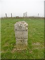 Old Milestone by the A35, Askerswell in DT2 9EL