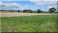 Arable land outside Annan in DG12 6BS