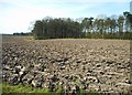 Ploughed field, Ryecroft Farm in WA14 3BH
