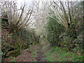 Bridleway descending Pea Hill in ST18 9TB