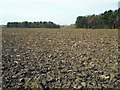 Ploughed field and woodland, Ryecroft Farm in WA14 3DD