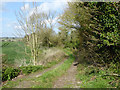 Track north from Bank Road in TN25 7DE