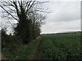 Footpath near Rillington in YO17 8EB