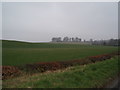 Farmland to east of Pitcairngreen in PH1 3LT