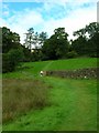 Footpath to Neaum Crag in LA22 9HG