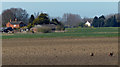 Farmland and deer near Mays Farm in PE14 8QN