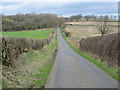 Road towards Black Plantation in NE43 7XA