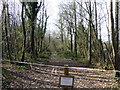 Closed  Path in Powdermills Woods in TN33 0SY