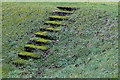 Abandoned steps, RNAW Almondbank in PH1 3NW