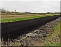 Peat extraction, Glastonbury Heath in BA6 9QY