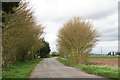 Road past Kelsey Hall, Great Steeping in Great Steeping