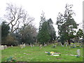 All Saints, Waldron: churchyard (a) in TN21 0RE