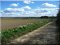 Farmland north-west of Towton in LS24 9PD