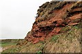 Sandstone Cliff Face in DD10 0DL