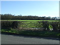 Field entrance off Wood End Lane in WS13 8ET