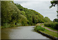 The Ashby Canal passing Ambion Wood, Leicestershire in Dadlington & Sutton Cheney