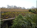 Green roof at Colchester Zoo in Heckfordbridge