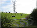 Pylon in field beside the A51 in ST15 0RF