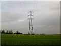 Power Lines over field west of Old Micklefield in LS25 4AY