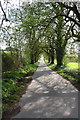 Avenue from May's Farm towards the A4130 in OX10 6QA