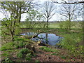Pond amongst the trees in TN8 5BQ