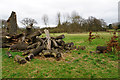 Pile of logs near Malvern Park in B91 3YS