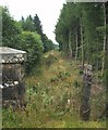 Old Railway Route to Callander in FK17 8LW