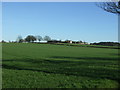 Crop field towards Grange Farm in B79 9DL