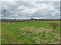 Agricultural land NE of Coleshill in B46 1AJ