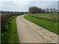 Access road to Swan Lane Farm in TN8 6JD