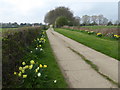 Access road to Swan Lane Farm in TN8 6DJ