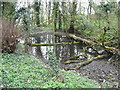 Pond, Ofgley in SG5 3DE