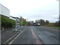 Bus stop and shelter on Carntyne Road in G31 4XD