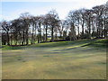 Kirriemuir, 10th hole, Kate's Wood in DD8 4PU