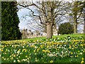 Running downhill in the South Garden at Burghley in St. Martin's Without