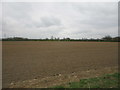 Field near South Hykeham Grange in LN6 9NQ