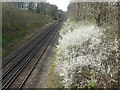 Railway viewed from Hilders Lane in TN8 6LJ