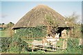 Winterborne Whitechurch: thatched round barn and donkeys in DT11 0HR