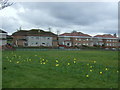 Houses on Quarrywood Road, Barmulloch in G33 1EA