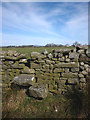 Stile with carved step near Brackenbottom in Tatham
