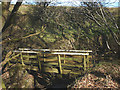 Wooden footbridge, Bull Gill in Tatham