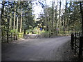 Track junction north of Gaunt's Hill, Bestwood Country Park in NG5 9QQ