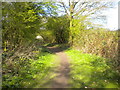 Colliers Path, Bestwood Country Park in NG5 8PE