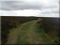 Moorland track near Fallinge Edge in Beeley