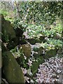 Rock garden at Standen House in RH19 4NG