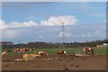 Cattle near Newfarm, Dalkeith in EH22 2PS