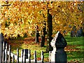 Autumn leaves in Lavenham Churchyard in CO10 9FL