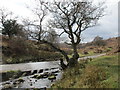 Ford through Wheeldale Gill in YO22 5AR