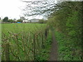 Footpath towards Hills Farm, Gosforth Valley in S18 1QH
